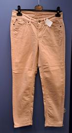 Cambio roze broek / jeans achtig model Piper Short 38 41141