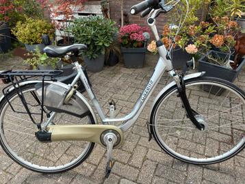 Gazelle orange c7. Izgst