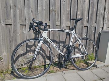 Colnago Clx Carbon 60 cm 