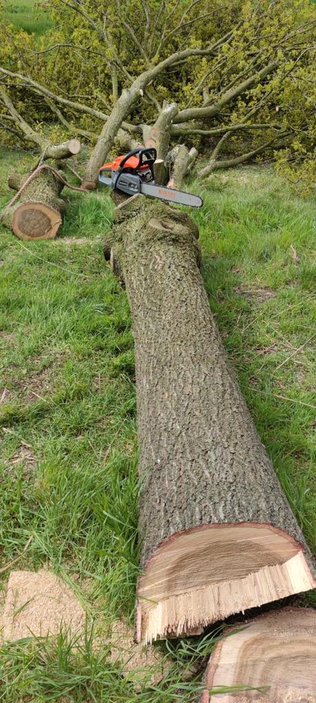 Gratis haardhout in HENGELO Twente, Tuin en Terras, Haardhout, Overige houtsoorten, Ophalen of Verzenden