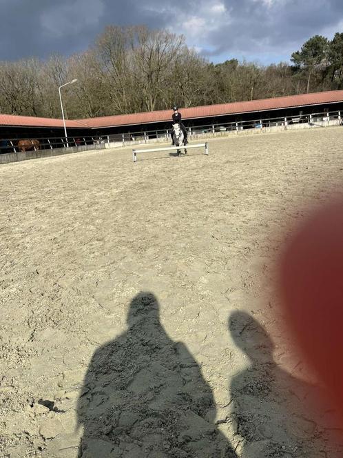 GEZOCHT lease pony gezocht!, Dieren en Toebehoren, Paarden en Pony's | Verzorgingsproducten, Nieuw, Ophalen of Verzenden