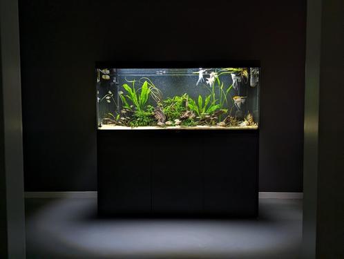 Aquatlantis Volga 450 Aquarium Complete Set! | FX6 + Co2, Dieren en Toebehoren, Vissen | Aquaria en Toebehoren, Gebruikt, Gevuld zoetwateraquarium