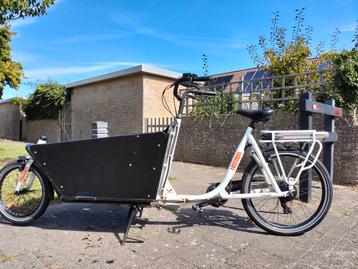 Stella Electric bakfiets for sale