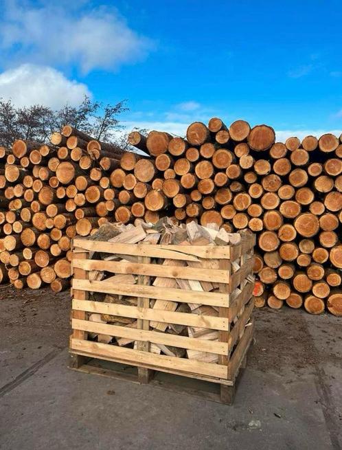 Actie!! Droog Openhaardhout eik, ess, berk, ( haag)beuk!, Tuin en Terras, Haardhout, Blokken, Berkenhout, Ophalen of Verzenden