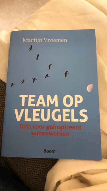 M. Vroemen - Team op vleugels