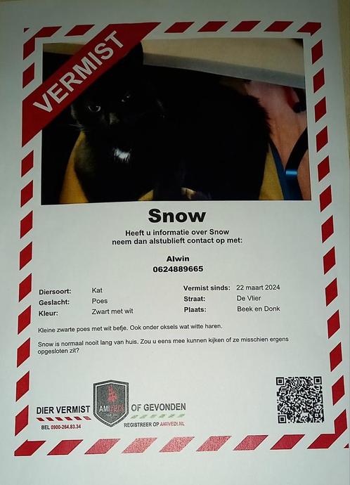 VERMIST poes snow wijk de beemd, Dieren en Toebehoren, Vermiste en Gevonden Dieren, Kat