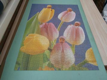 puzzel 900 stuks -anne geddes-tulpen met kinderhoofdjes
