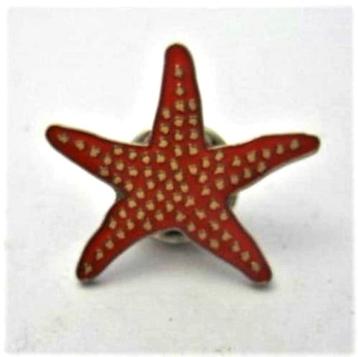 Zeester. Emaille broche, steekbroche, pin (6960)