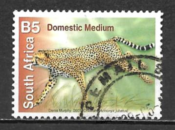 Zuid Afrika 2007 Aanvullingswaardes cheetah
