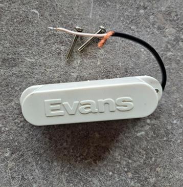 Evans Eliminator Lead single coil pickup