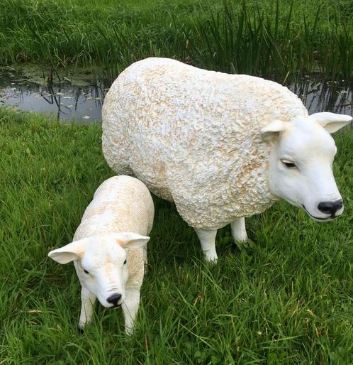 beeld schaap texelaar polyester tuin beeld texel schaap, Tuin en Terras, Tuinbeelden, Nieuw, Dierenbeeld, Kunststof, Ophalen