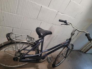 Fiets met 7 versnellingen – kleine reparatie nodig