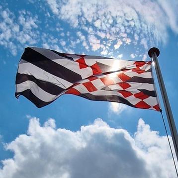 Loosdrechtse vlaggen | SVL | Loosdrecht | 1231 | Vlag 🚩🏳🏴