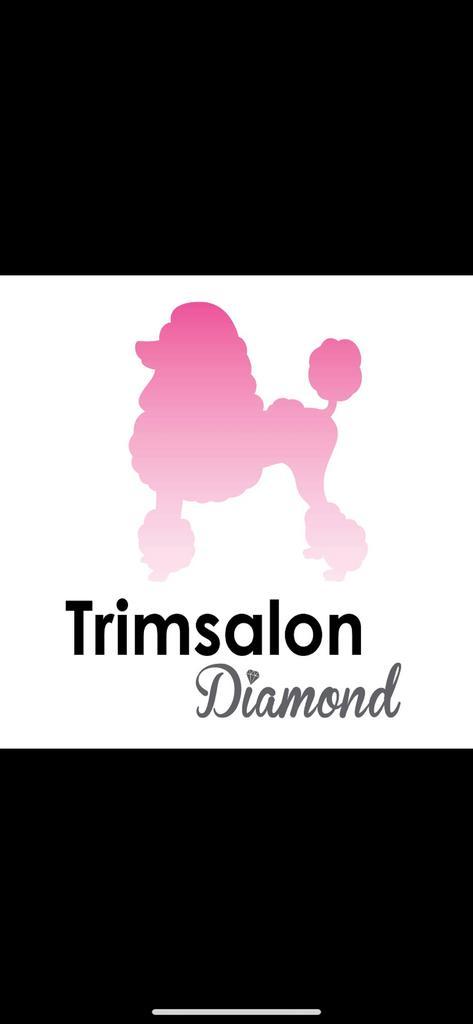 Trimsalon Diamond heeft plek, Diensten en Vakmensen, Dieren | Honden | Verzorging, Oppas en Les, Trimmen of Verzorging