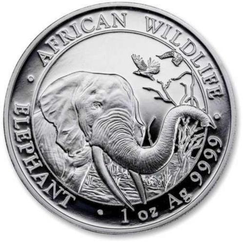 Somalië 1 Ounce 2018 African Wildlife Olifant, Postzegels en Munten, Munten | Afrika, Losse munt, Overige landen, Zilver, Ophalen of Verzenden
