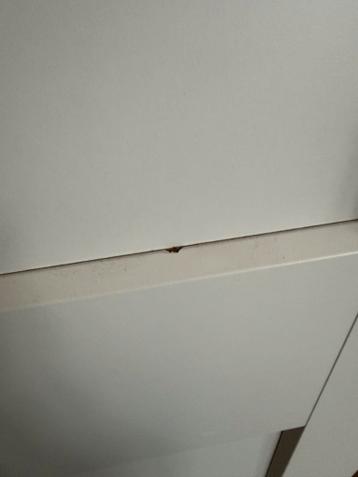 Ikea Pax kast - 50x58x236 cm - afbeelding 2 Ikea Pax kast - 50x58x236 cm - afbeelding 2