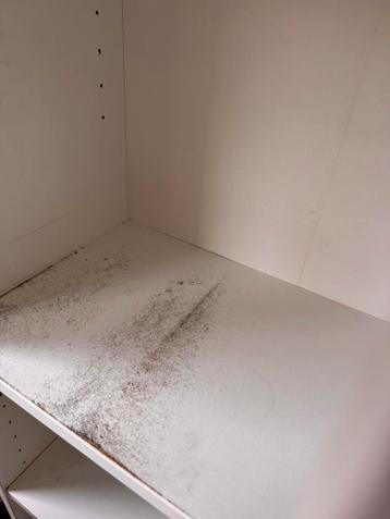 Billy kast wit - afbeelding 3 Billy kast wit - afbeelding 3