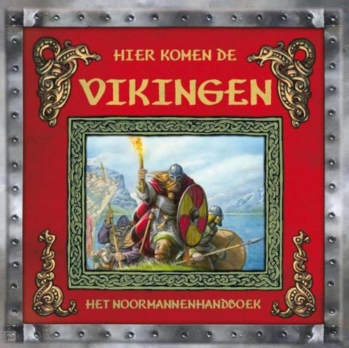 Pop-Up boek - Berk - Hier komen de Vikingen - Het Noormannen, Boeken, Overige Boeken, Zo goed als nieuw, Ophalen of Verzenden