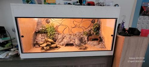 Mooi zelfgemaakt terrarium + luipaardgekko's., Dieren en Toebehoren, Reptielen en Amfibieën | Toebehoren, Zo goed als nieuw, Terrarium of Paludarium