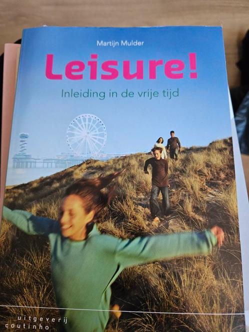 Martijn Mulder - Leisure!, Boeken, Wetenschap, Zo goed als nieuw, Ophalen of Verzenden