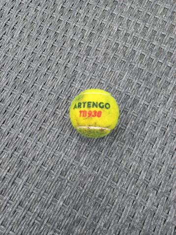 Tennisballen voor de hond ( 25 cent per stuk )