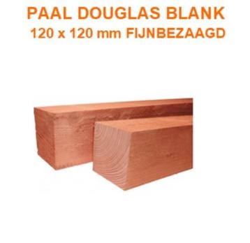 PALEN DOUGLAS  12 X 12 CM stunt prijzen!!!