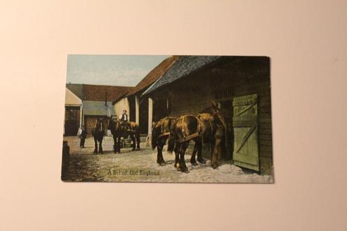 Oude Paarden AK - Wachtende Paard naar het Werk Engeland, Verzamelen, Ansichtkaarten | Dieren, Ongelopen, Voor 1920, Paard, Verzenden