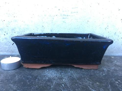 Bonsai schaal pot 18,5x12,5x6,5cm *, Tuin en Terras, Bloempotten, Nieuw, Aardewerk, Minder dan 40 cm, Minder dan 25 cm, Rond, Ophalen of Verzenden