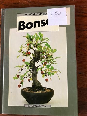 Bonsai  Anne Swinton