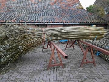 Wilgentenen doe het zelf pakket Wilgentakken leveren heel NL