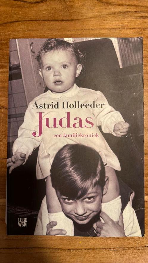 Astrid Holleeder - Judas, Boeken, Detectives, Zo goed als nieuw, Ophalen of Verzenden