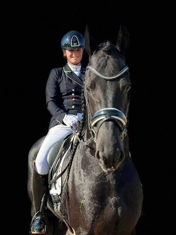 Topkwaliteit Friese paarden aangeboden