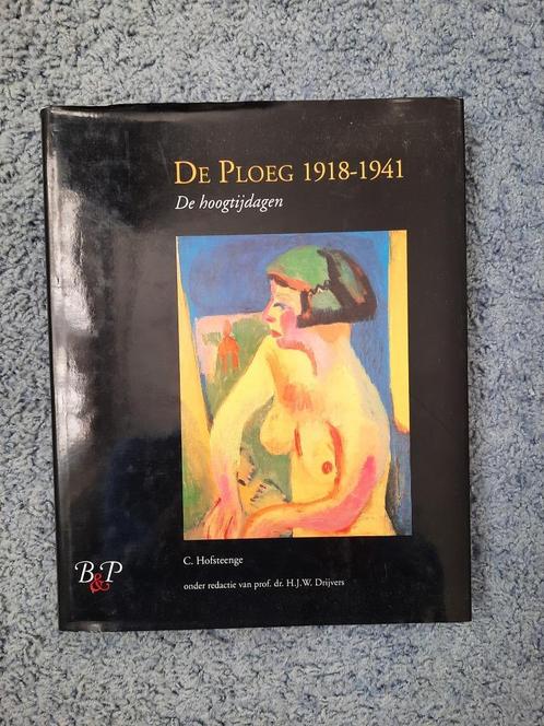 De Ploeg 1918-1941 De hoogtijdagen - Cees Hofsteenge luxe ed, Boeken, Kunst en Cultuur | Beeldend, Gelezen, Schilder- en Tekenkunst