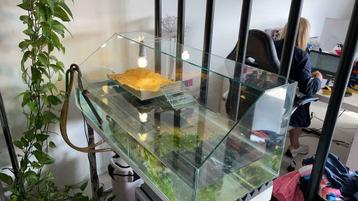 Duurzaam Water Schildpad Terrarium, op maat, met zoneiland