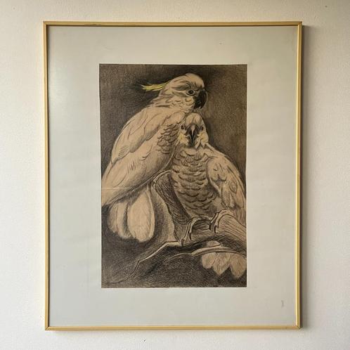 Houtskool tekening 2 kaketoes naar Cornelis Jan Mension, Antiek en Kunst, Kunst | Tekeningen en Foto's, Ophalen of Verzenden