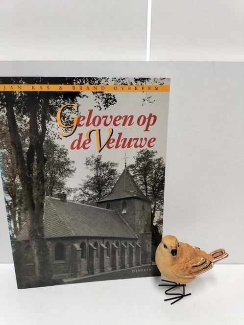 Kas, Jan e.a.; Geloven op de Veluwe, Boeken, Godsdienst en Theologie, Gelezen, Christendom | Protestants, Ophalen of Verzenden