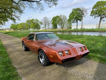 Zeer mooie Pontiac Firebird 1980