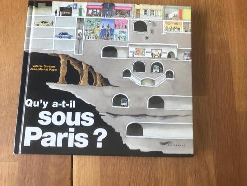 Qu’y a-t-il Sous Paris van Valérie Guidoux en Jean-Michel P, Boeken, Wetenschap, Zo goed als nieuw, Overige wetenschappen, Ophalen of Verzenden