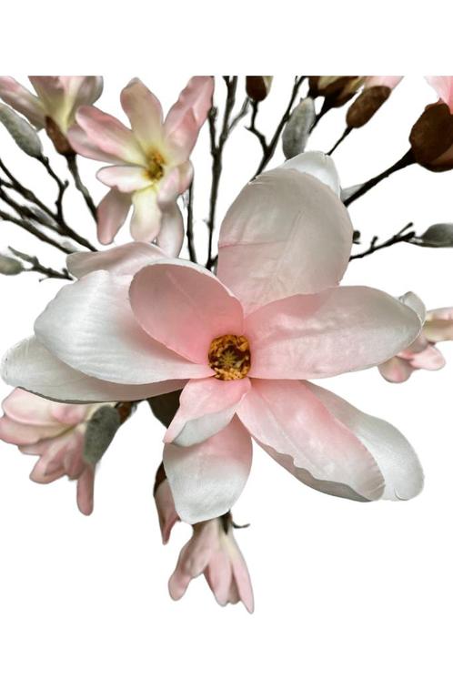magnolia tak, Huis en Inrichting, Woonaccessoires | Kunstplanten en Kunstbloemen, Nieuw, Binnen, Ophalen of Verzenden