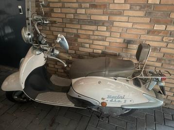 Berini DLS 2 Scooter - gratis