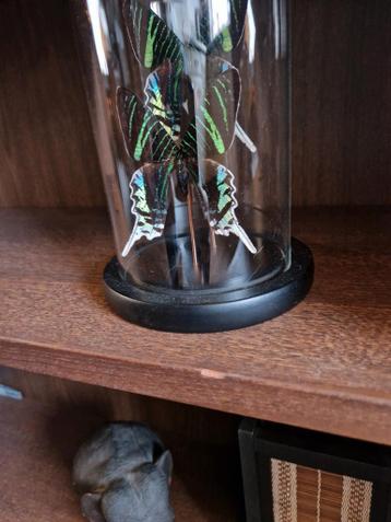 Ikea Billy Boekenkast donkerbruin met extra opzetstuk - afbeelding 10 Ikea Billy Boekenkast donkerbruin met extra opzetstuk - afbeelding 10