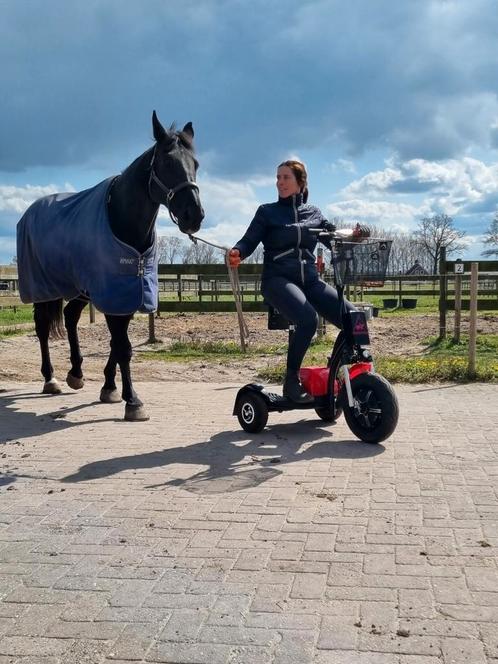 Briski  paarden buiten/ binnen zetten. Nieuw en gebruikt., Dieren en Toebehoren, Paarden en Pony's | Overige Paardenspullen, Zo goed als nieuw