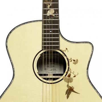 Crafter G-1000CE Twin Birds gitaar