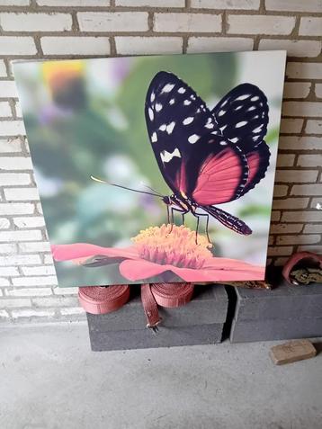 Canvas schilderij 