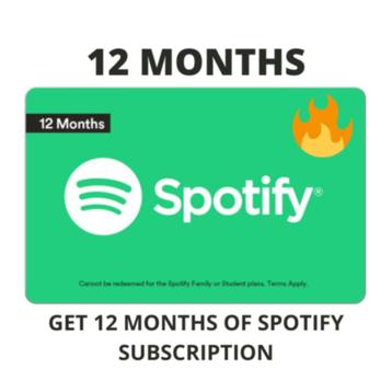 Spotify Premium 12 months