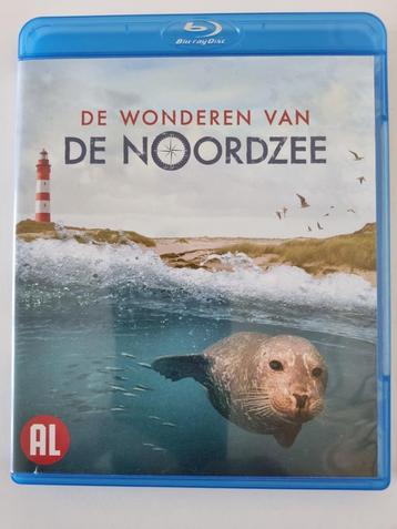 De Wonderen van de Noordzee