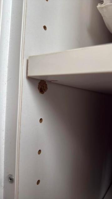 Witte schuifdeurkast (IKEA Pax) - afbeelding 3 Witte schuifdeurkast (IKEA Pax) - afbeelding 3