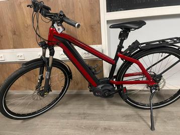 Riese muller Charger