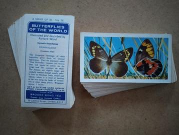 Butterflies of the World complete set 50 tea cards vlinders