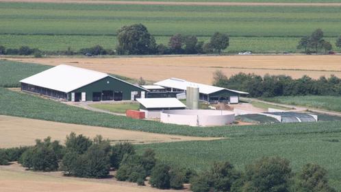 Melkveebedrijf Duitsland   Grasland Maisland, Zakelijke goederen, Agrarisch | Agrarisch Onroerend goed, Melkveehouderij, 50 ha of meer